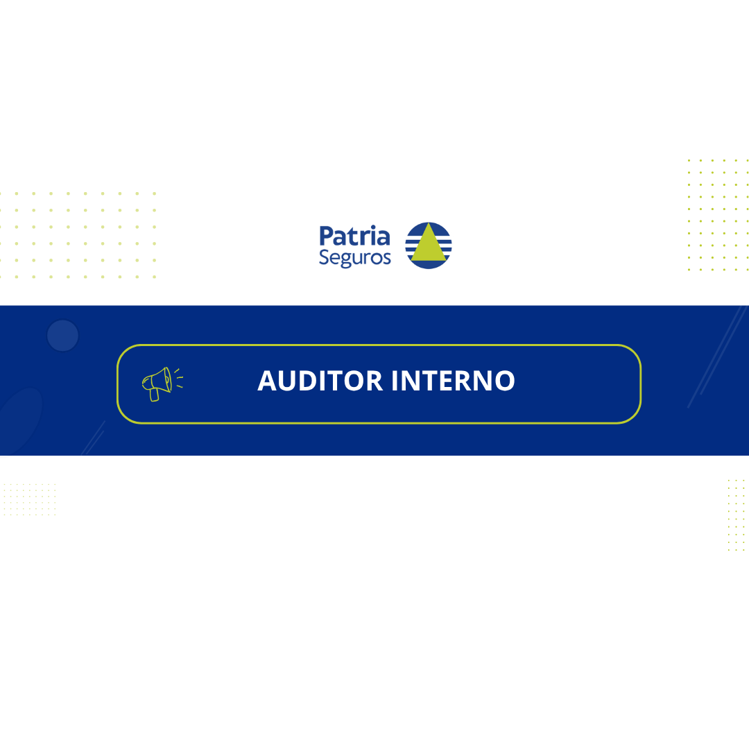 Auditor Interno